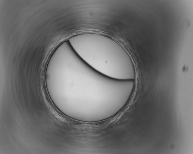 X0000111180049200907011041