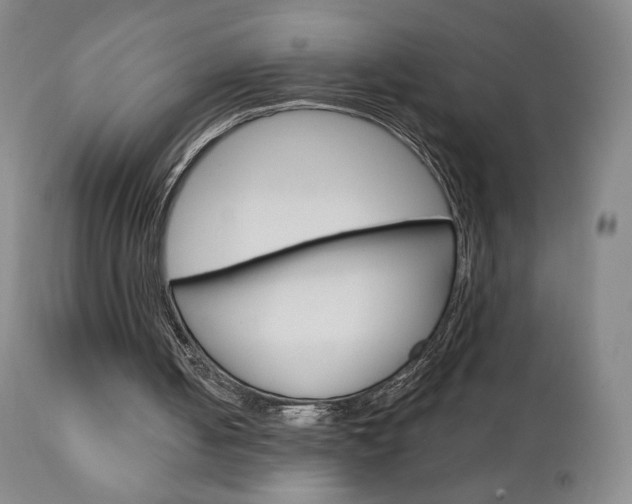 X0000111180050200907011041