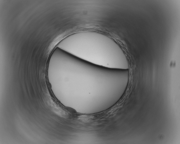 X0000111180051200907011041