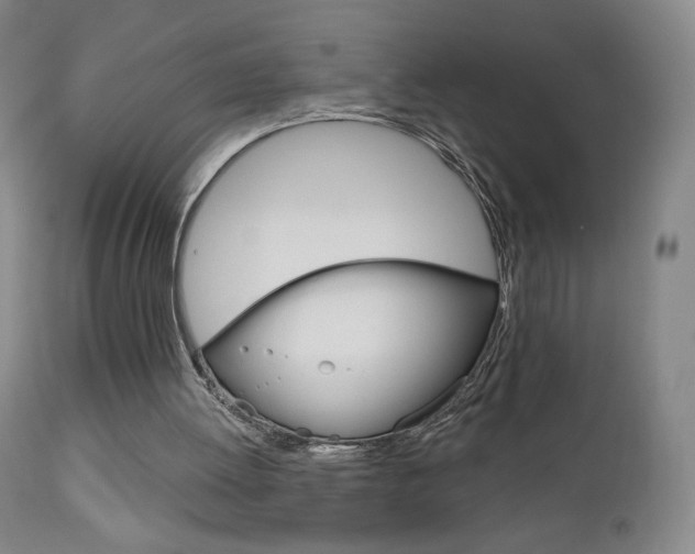X0000111180052200907011041