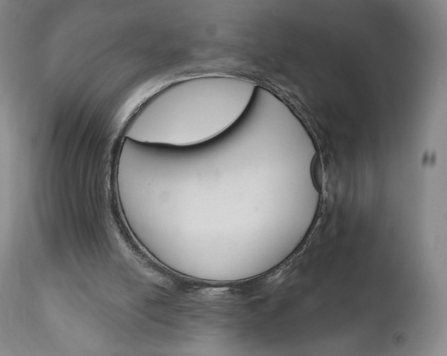 X0000111180054200907011041
