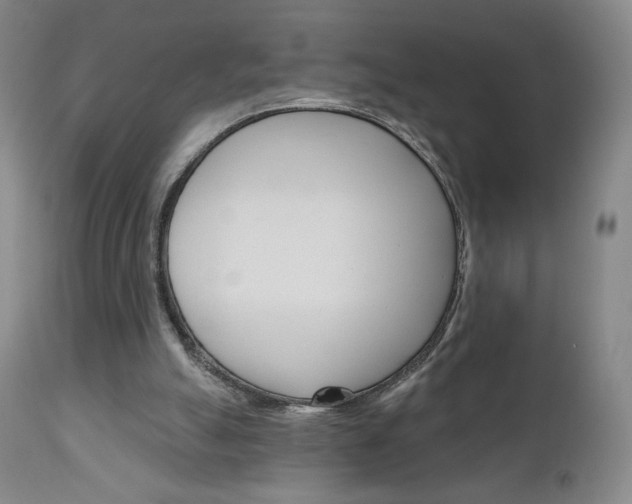 X0000111180055200907011041