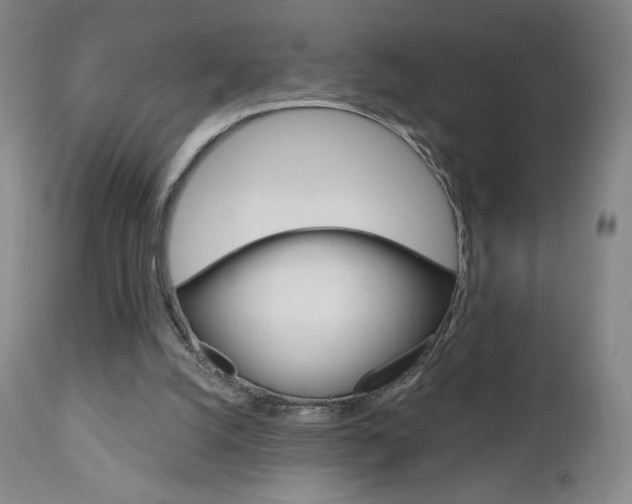 X0000111180056200907011041