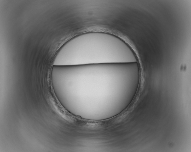 X0000111180057200907011041