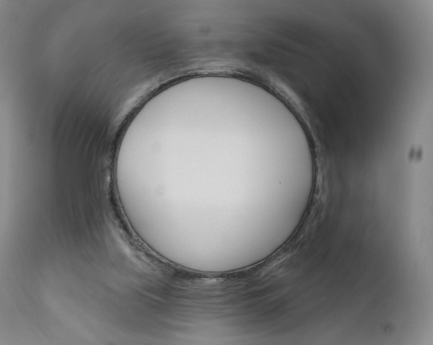 X0000111180059200907011041