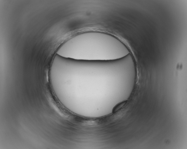 X0000111180061200907011041
