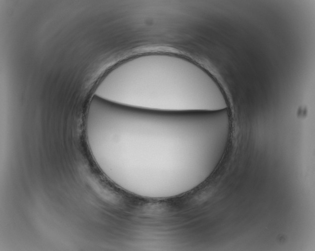 X0000111180063200907011042