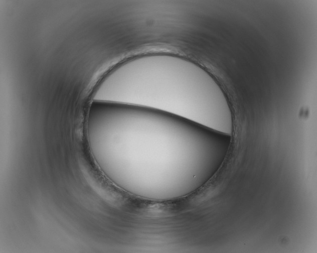 X0000111180064200907011042