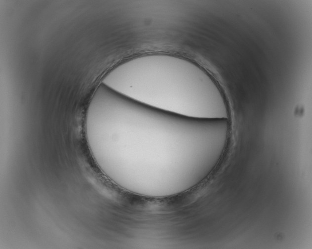 X0000111180065200907011042