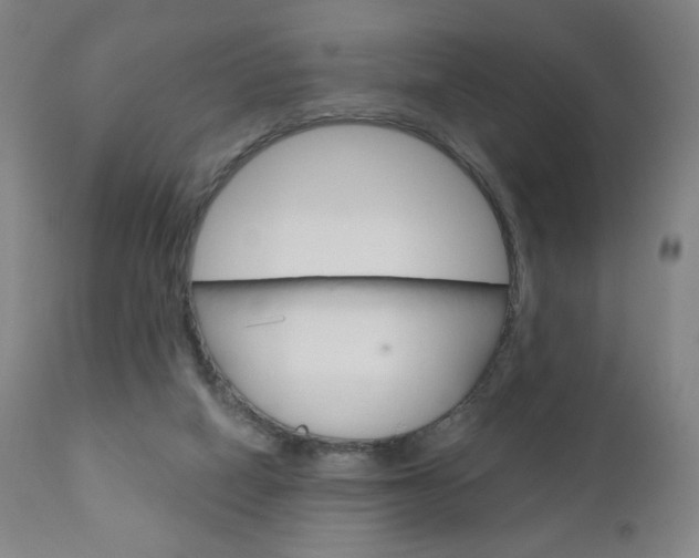X0000111180066200907011042