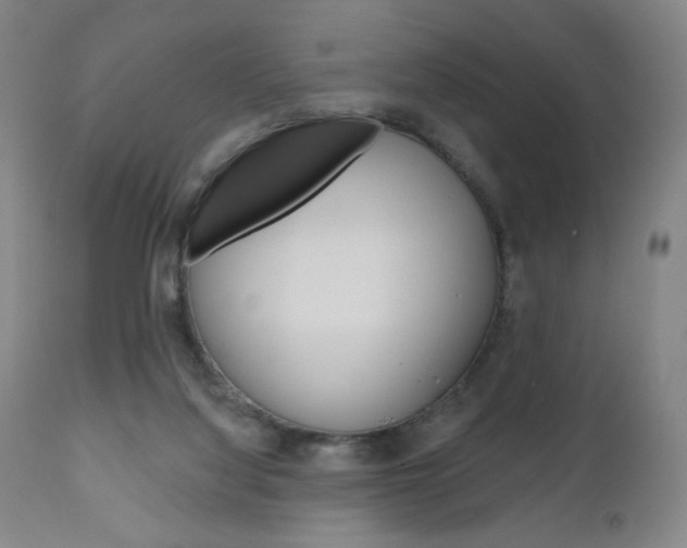 X0000111180068200907011042