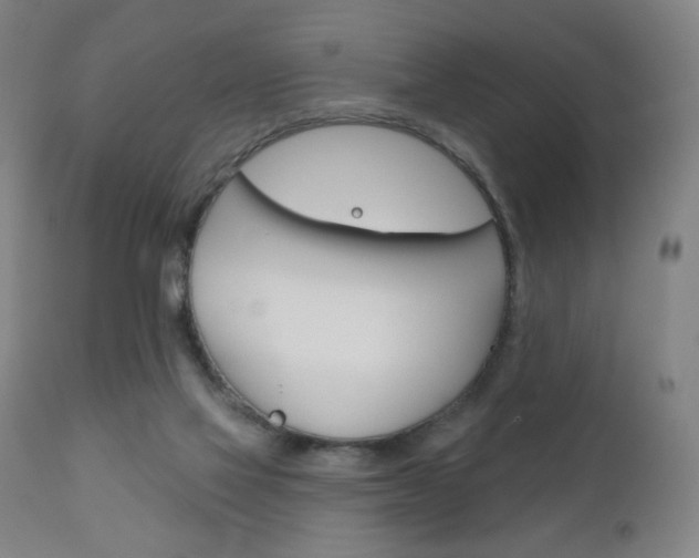 X0000111180069200907011042