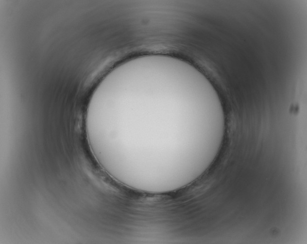 X0000111180072200907011042