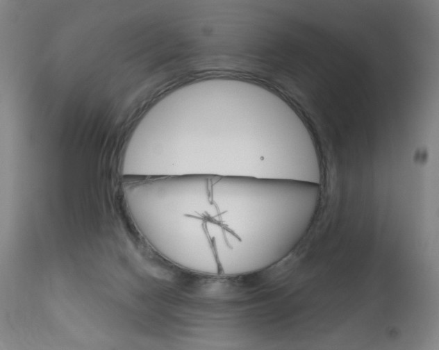 X0000111180074200907011042
