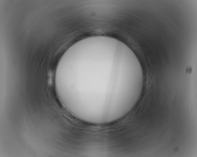 X0000111180075200907011042