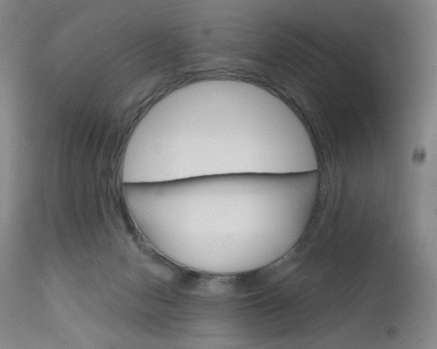 X0000111180078200907011042