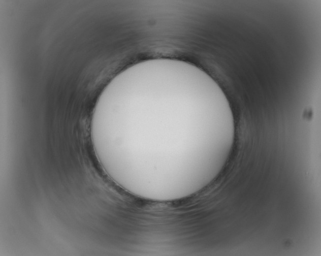 X0000111180079200907011042
