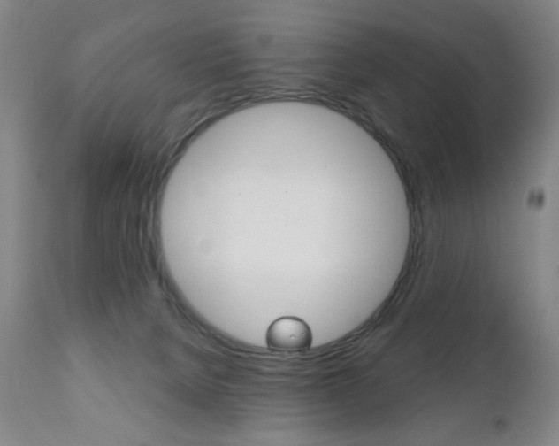 X0000111180080200907011042