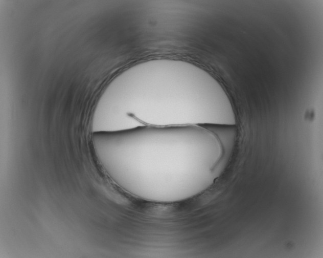 X0000111180081200907011042