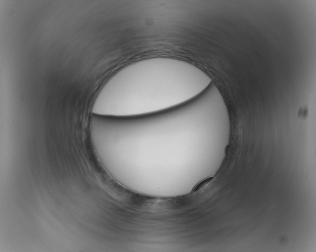 X0000111180082200907011042