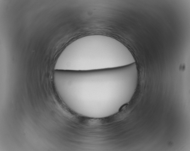 X0000111180085200907011042