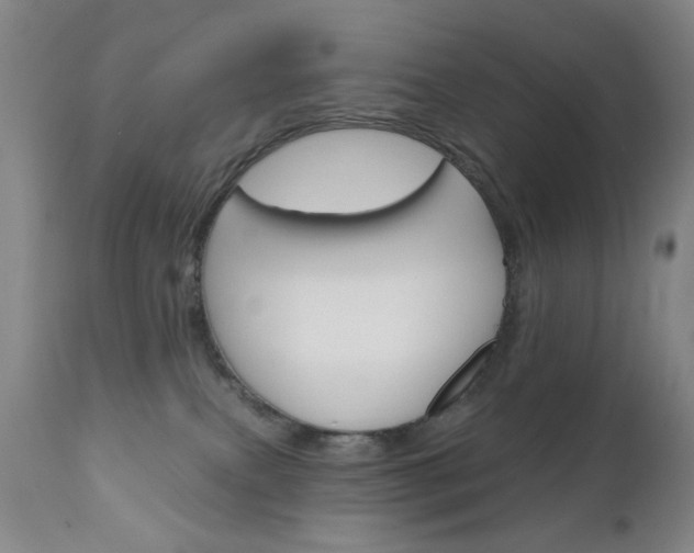 X0000111180087200907011042