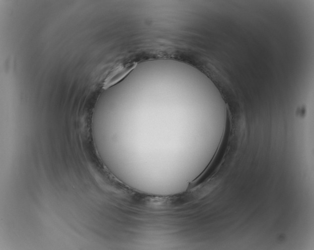 X0000111180088200907011042