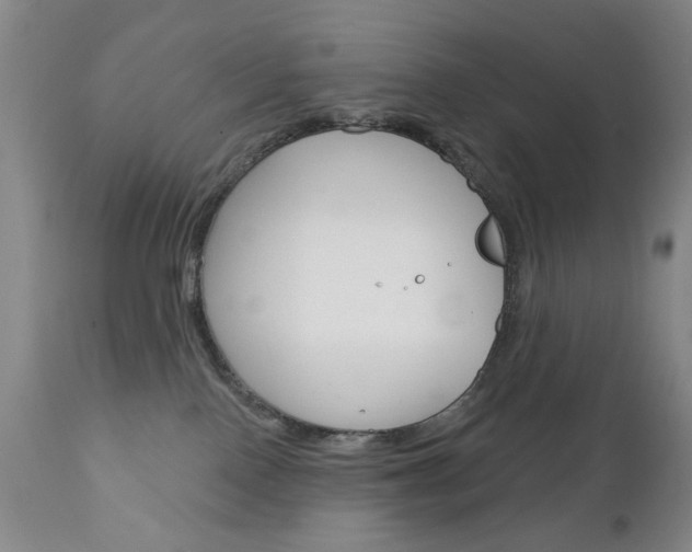 X0000111180090200907011042