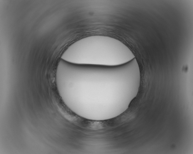 X0000111180091200907011042