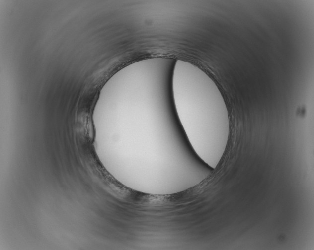 X0000111180093200907011042