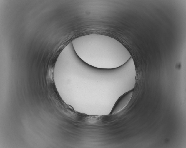 X0000111180094200907011042