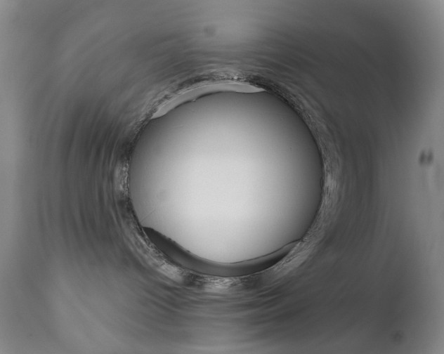 X0000111180096200907011042