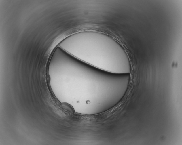 X0000111180099200907011041