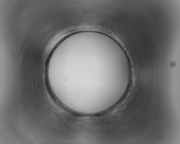 X0000111180103200907011041