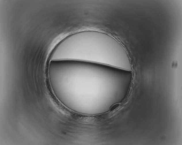X0000111180104200907011041