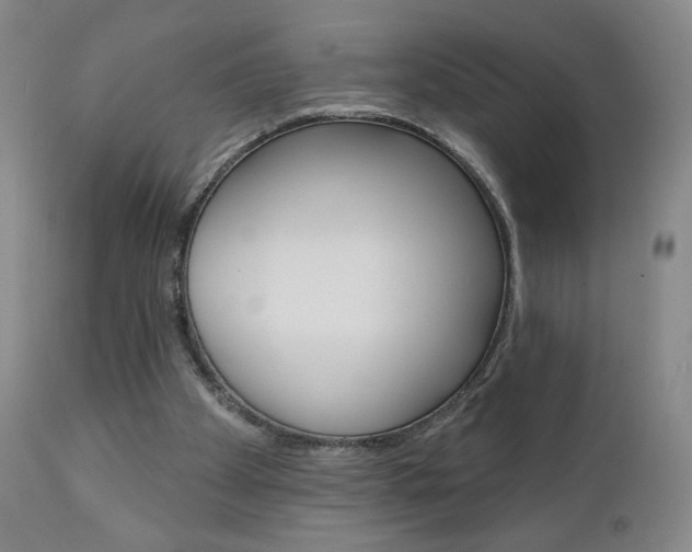 X0000111180105200907011041