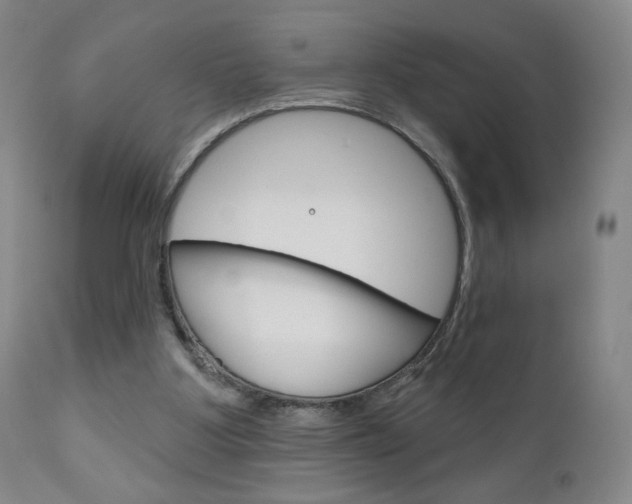 X0000111180107200907011041