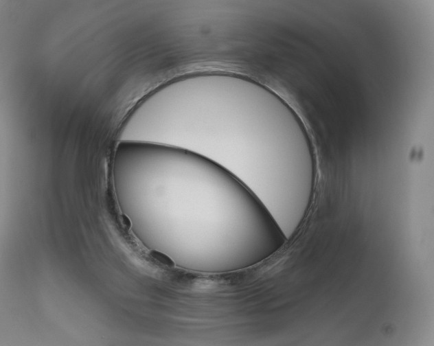 X0000111180109200907011041