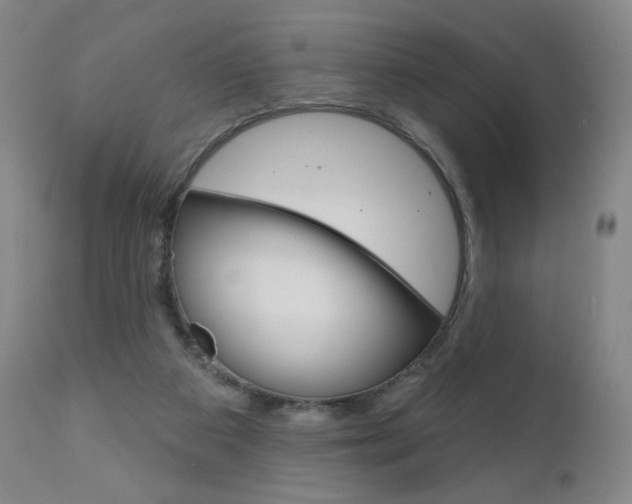 X0000111180113200907011041