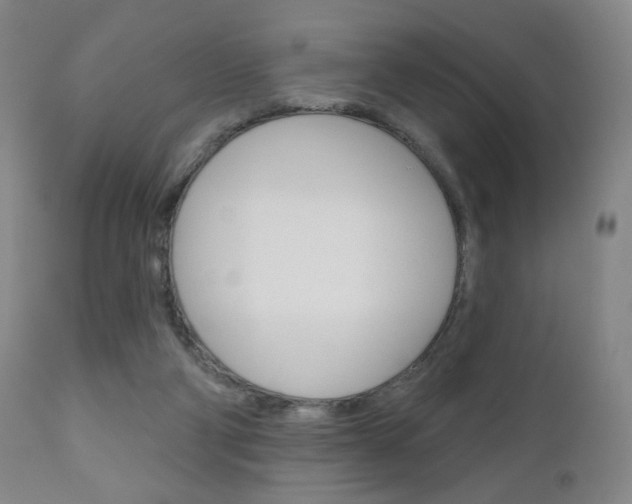 X0000111180114200907011041