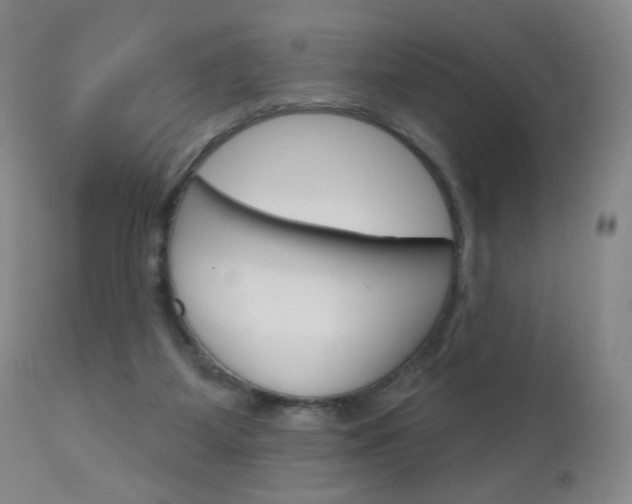 X0000111180115200907011041