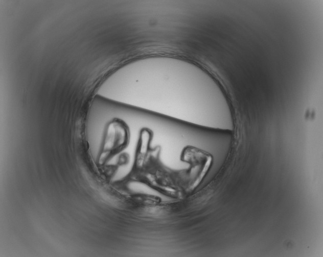 X0000111180117200907011041