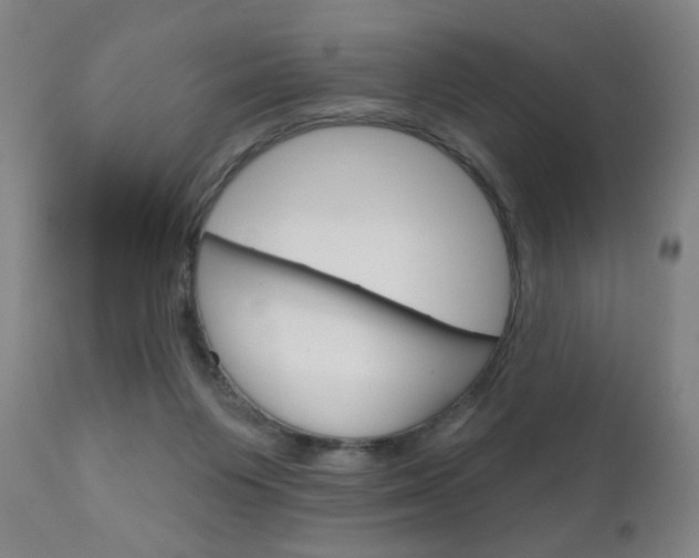 X0000111180119200907011041