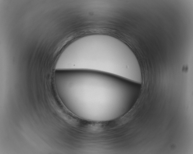 X0000111180120200907011041
