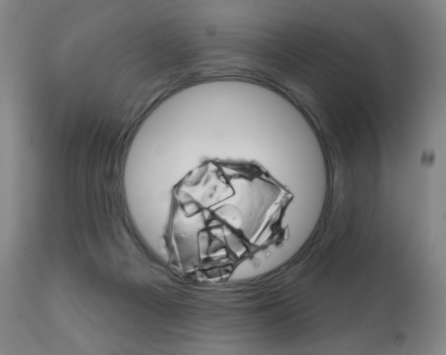 X0000111180121200907011041