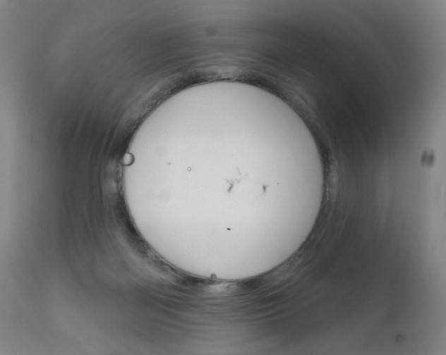 X0000111180122200907011041