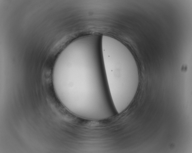 X0000111180123200907011041