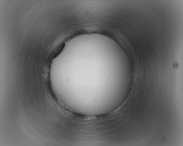 X0000111180124200907011041