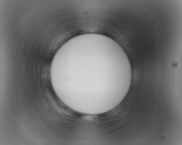 X0000111180126200907011041