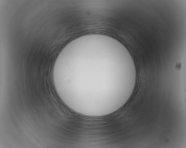 X0000111180129200907011041